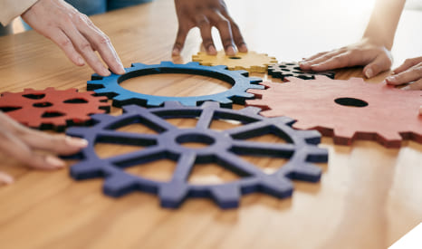 System Integrators